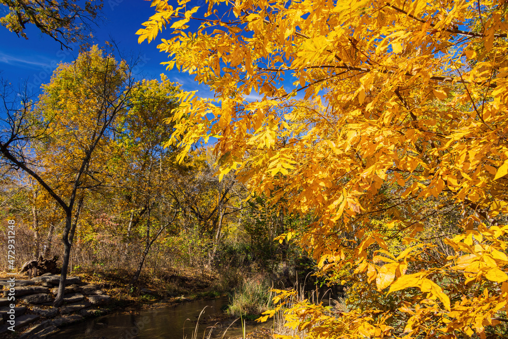 Fall color of the nature trail in Chickasaw National Recreation Area