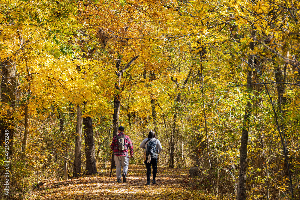 Fototapeta premium Fall color of the nature trail in Chickasaw National Recreation Area