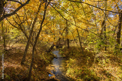 Fall color of the nature trail in Chickasaw National Recreation Area