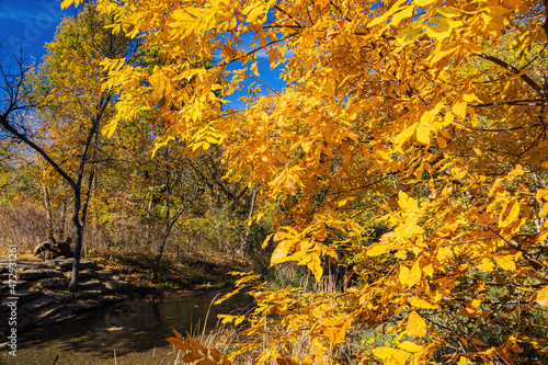 Fall color of the nature trail in Chickasaw National Recreation Area