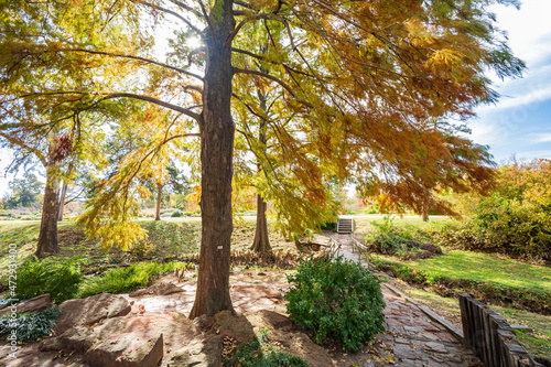 Fototapeta Naklejka Na Ścianę i Meble -  Beautiful fall color of the Will Rogers Gardens