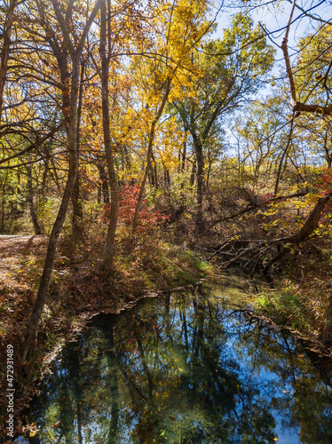 Fall color of the nature trail in Chickasaw National Recreation Area © Kit Leong