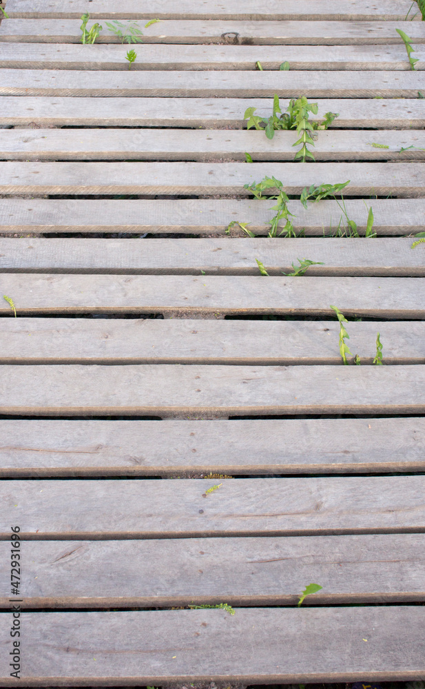A wooden construction pallet is lying on the grass. Wood texture on the grass. Wooden pallet grown into ground with green grass A wooden construction pallet is lying on the grass. Wood texture on the grass. Wooden pallet grown into ground with green grass
