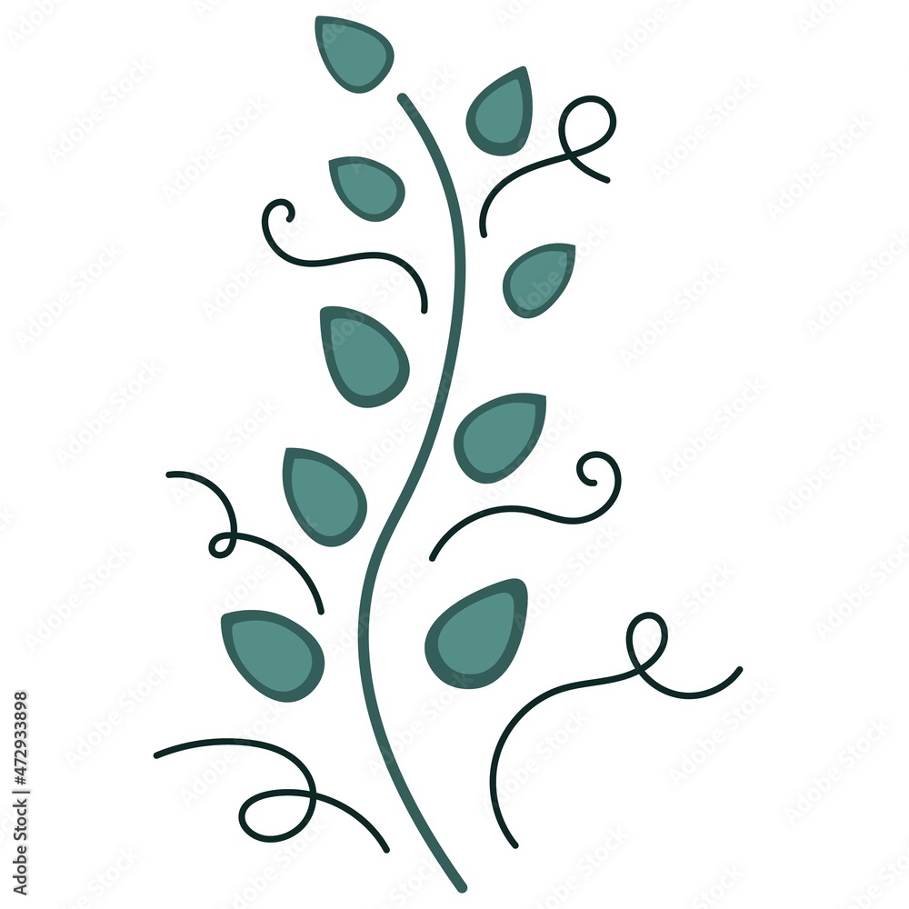 Decorative ornate twig Herbal vector flat pattern with green leaves. Decoration close-up.Transparent background. Botanical illustration for print, design. Decorative ornate twig Herbal vector flat pattern with green leaves. Decoration close-up.Transparent background. Botanical illustration for print, design.