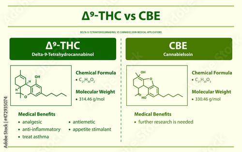 ∆9-THC vs CBE, Delta 9 Tetrahydrocannabinol vs Cannabielsoin horizontal infographic