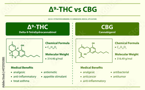 ∆9-THC vs CBG, Delta 9 Tetrahydrocannabinol vs Cannabigerol horizontal infographic