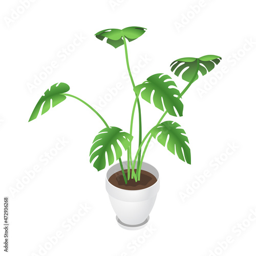 Isometric monstera and flowerpot. Indoor, office and house plant. Interior decoration element. 3d flower pot with plate. Vector illustration of interior plant isolated on white background