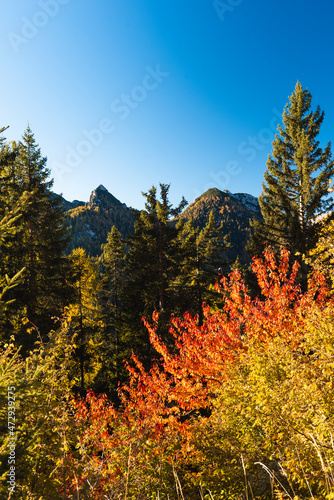 Panoramic view during an autumn trekking in the Dolomites, Italy photo