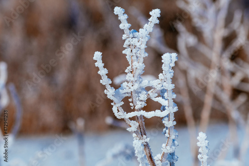 frost and ice