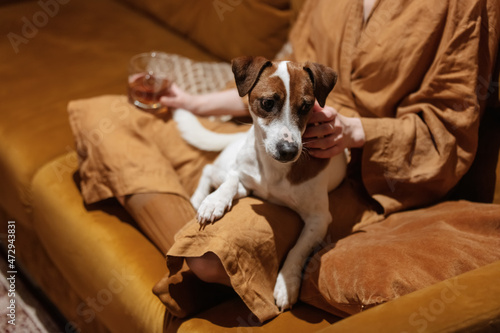 Woman with a dog sits at sofa in bathrobe