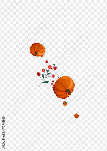 Fototapeta Naklejka Na Ścianę i Meble -  Yellow Gourd Background Transparent Vector. Burgundy Harvest Template. Orange Leaf Maple Banner. Leaves Drawing. Oak Card.