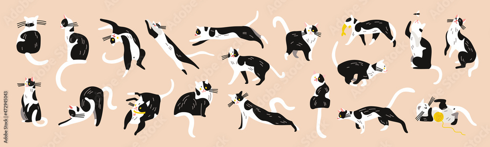 Black White Cats Set