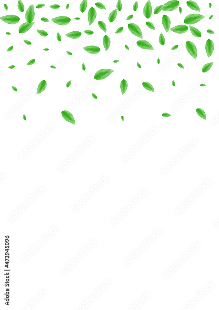 Light Green Sheet Background White Vector. Greenery Herbal Texture. Shape Frame. Green Agriculture Design. Leaf Growth. Light Green Sheet Background White Vector. Greenery Herbal Texture. Shape Frame. Green Agriculture Design. Leaf Growth.