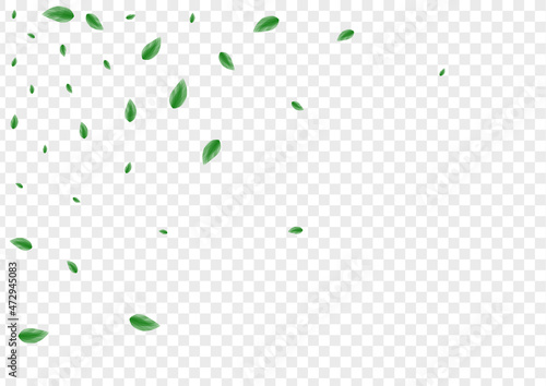 Greenish Plant Background Transparent Vector. Leaves Vitality Card. Blend Design. Green Decoration Frame. Sheet Eco.