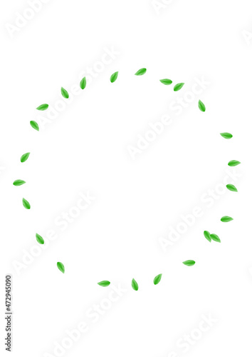 Greenish Sheet Background White Vector. Greenery Decorative Texture. Isolate Card. Light Green Realistic Frame. Vegetation Element.
