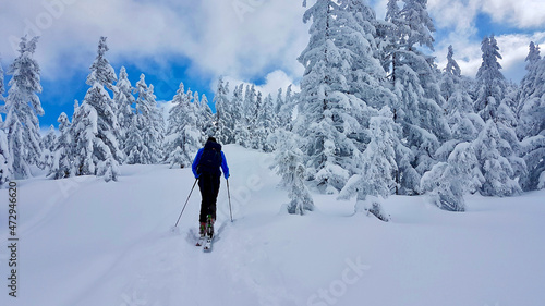 Ski tourer in fairytale winter landscape after heavy snowfall. Laterns, Vorarlberg, Austria.