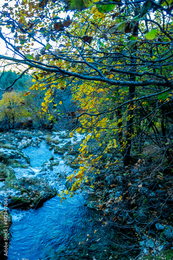 The source of the Rio Mundo in Riopar, Spain, an exceptional nature reserve The source of the Rio Mundo in Riopar, Spain, an exceptional nature reserve