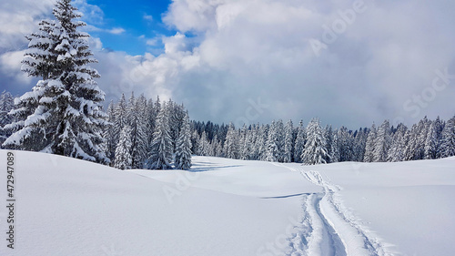 Snow path in idyllic winter landscape in the Austrian Alps. Vorarlberg, Austria.