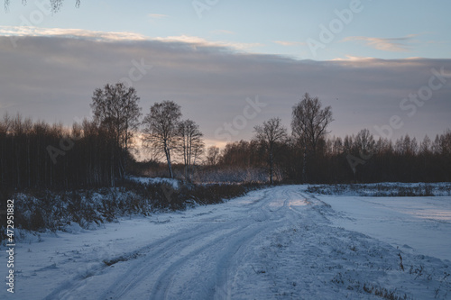 rarely used snow covered never cleaned country roads leads to forest. Wintertime in Latvia at Christmas time