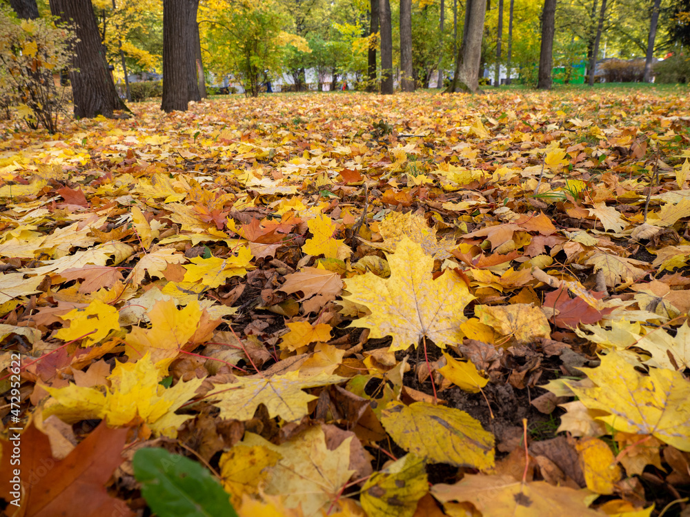 Autumn Park