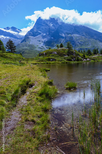 Fototapeta Naklejka Na Ścianę i Meble -  The meadows, glaciers, lakes and mountains of the Simplon Pass: one of the most beautiful areas of Switzerland located in the heart of the Alps - July 2021.