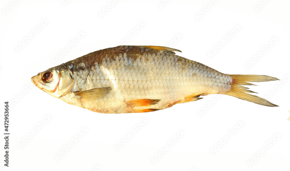 dried ram isolate on a white background. Salty seafood