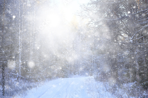 winter background snowfall trees abstract blurred white © kichigin19