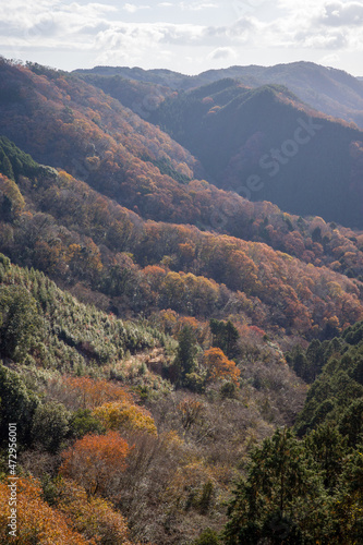 とても美しい日本の岡山県高梁市の備中松山城の風景 © 仁 藤原