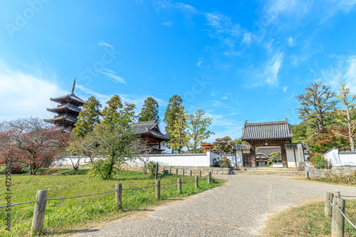 秋の備中国分寺　岡山県総社市　Autumn Bitchū Kokubunji. Okayama-ken Souja city	 photo