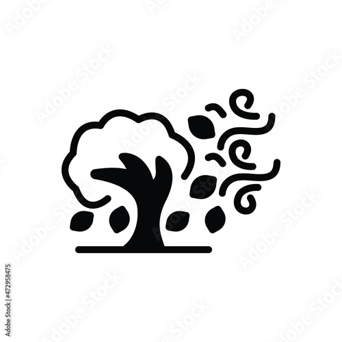 Black solid icon for wind air