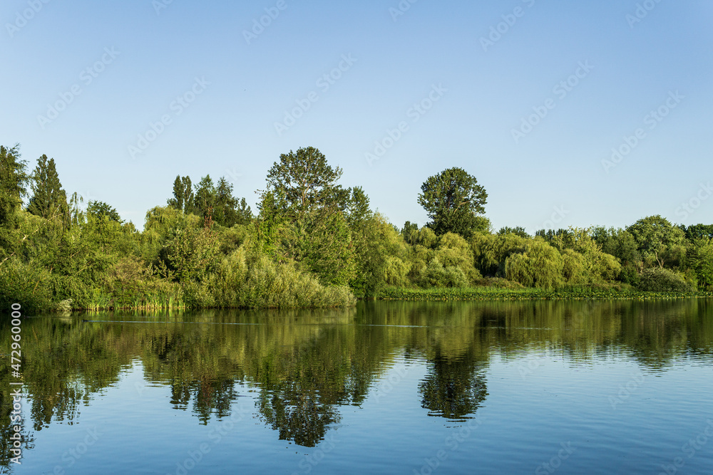 Crystal and turquoise water of the Trout Lake in Vancouver and green trees on the shore