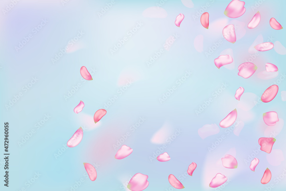 Pink falling sakura petals and flowers.Nature horizontal background. Pink falling sakura petals and flowers.Nature horizontal background.