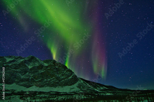 Northern Lights (Aurora Borealis or Polar Lights) - Dalton Highway, Alaska (USA) photo