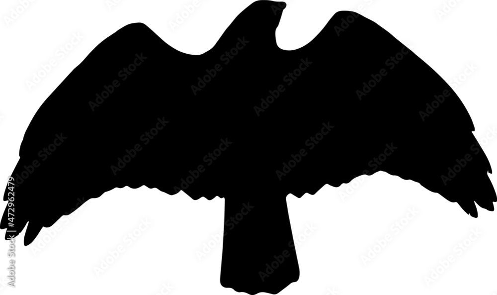 Hawk Bird Silhouette SVG Hawk Bird Vector SVG Stock Vector | Adobe Stock
