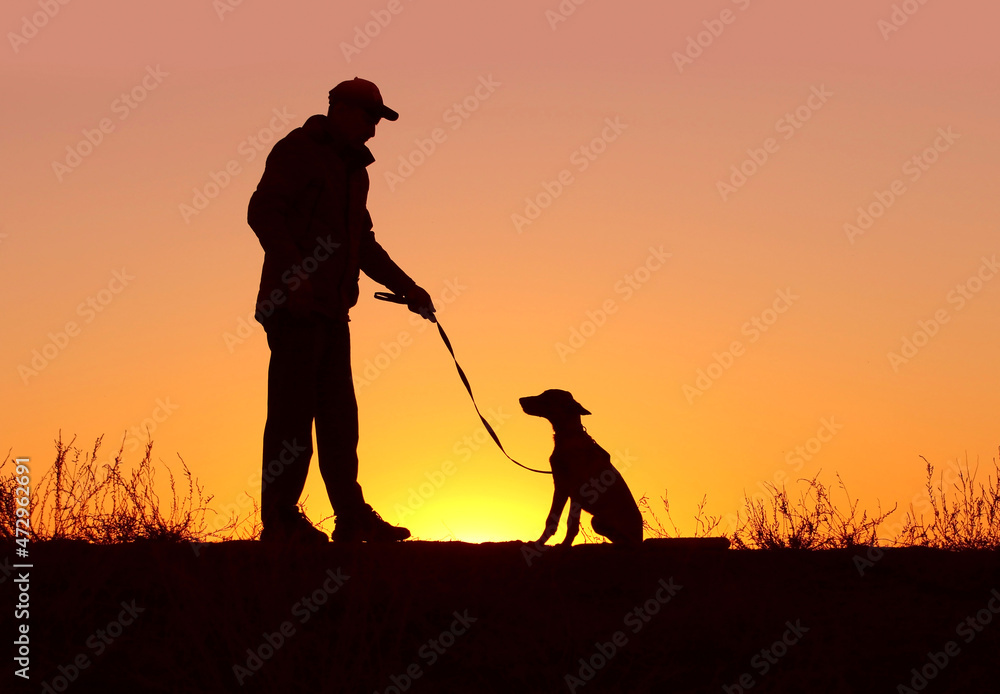 Silhouettes of a man running with a puppy on a leash on a sunset background