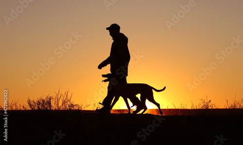 Silhouettes of a man who trains a Malinois dog on the background of a sunset