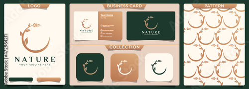 Abstract nature flower logo design