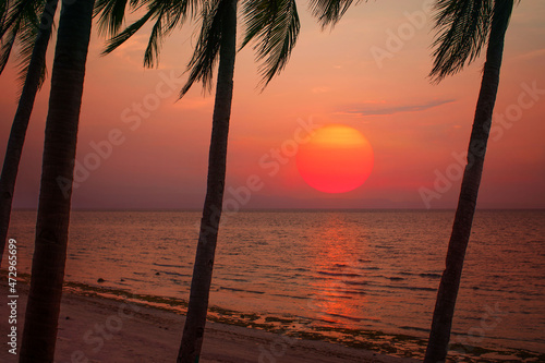 tropical sun in the sunset on the horizon by the sea with a large diameter