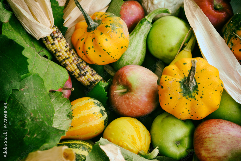  autumn fruits, apples, pumpkin and corn