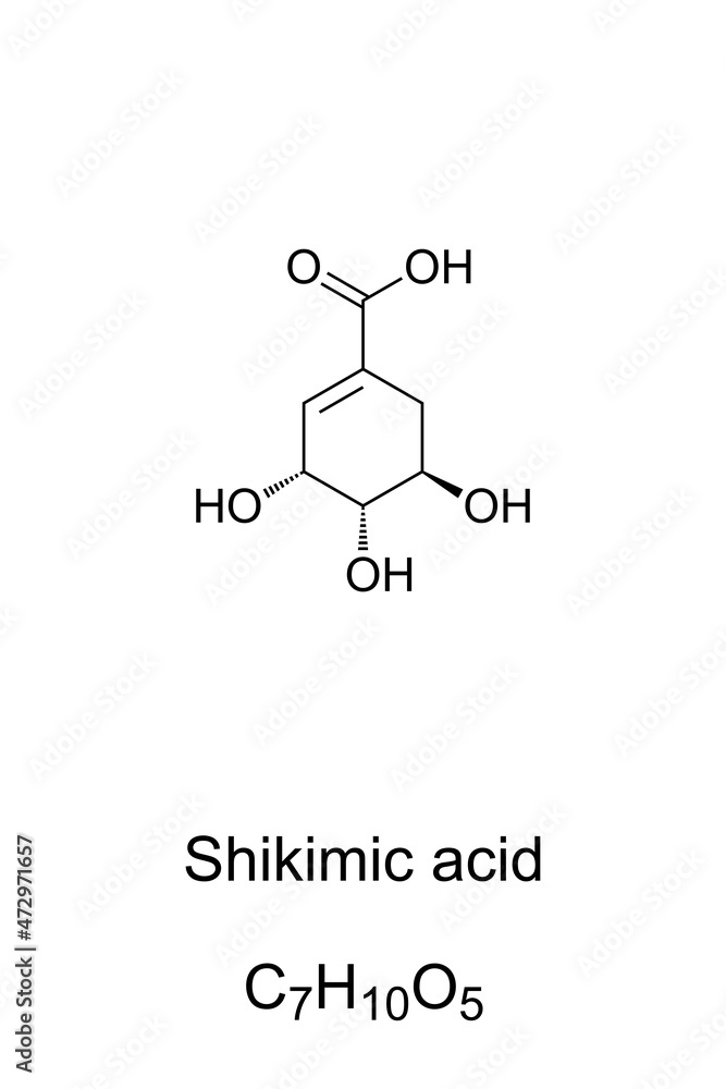 Shikimic acid, chemical formula and skeletal structure. The pharmaceutical industry uses