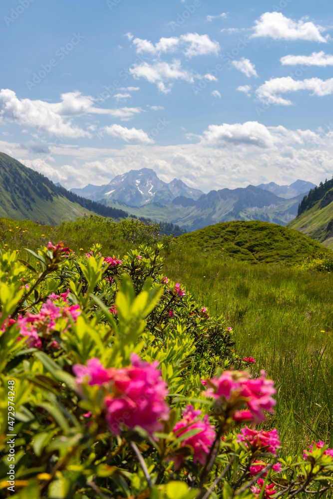 Obraz premium Typical alpine landscape in early summer near Damuls, Vorarlberg, Austria