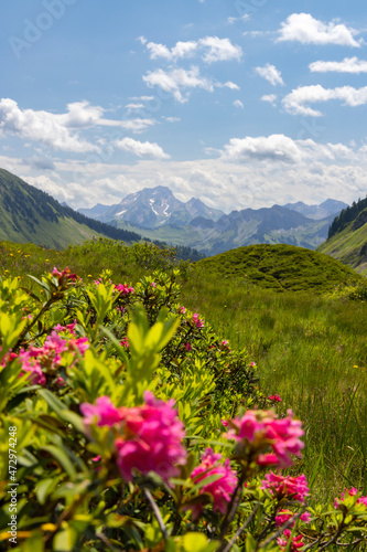 Typical alpine landscape in early summer near Damuls  Vorarlberg  Austria