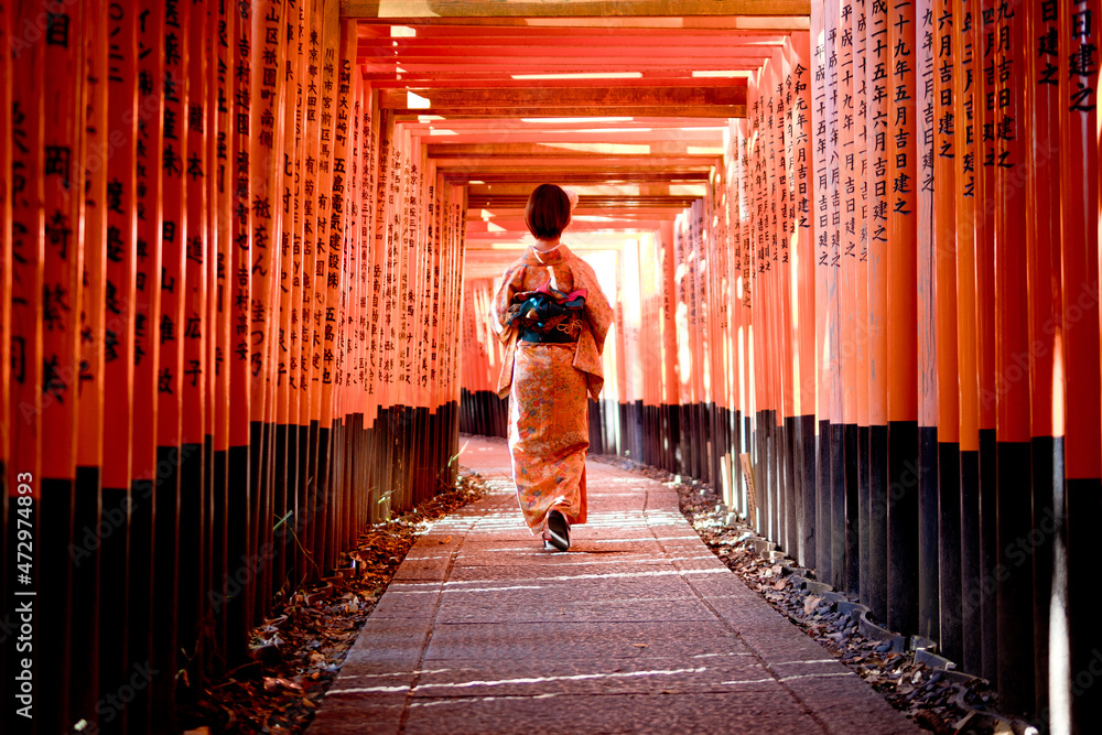 Fototapeta premium Japanese style