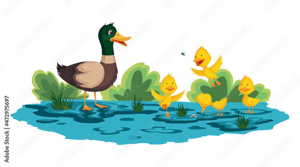 Mother duck and little ducklings walking or swims on the water. Cartoon  wild bird with cute yellow babies. Duck family cartoon illustration Stock  Illustration | Adobe Stock