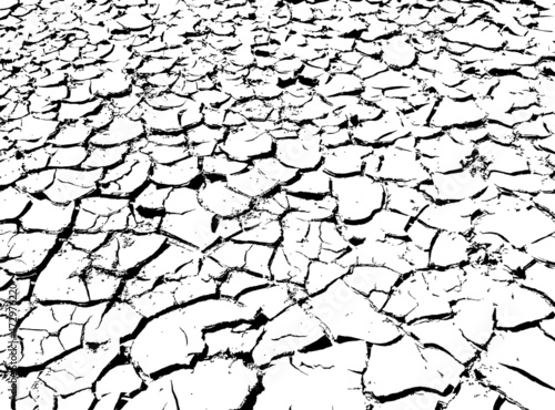 Texture of dry cracked earth. Black and white vector illustration.