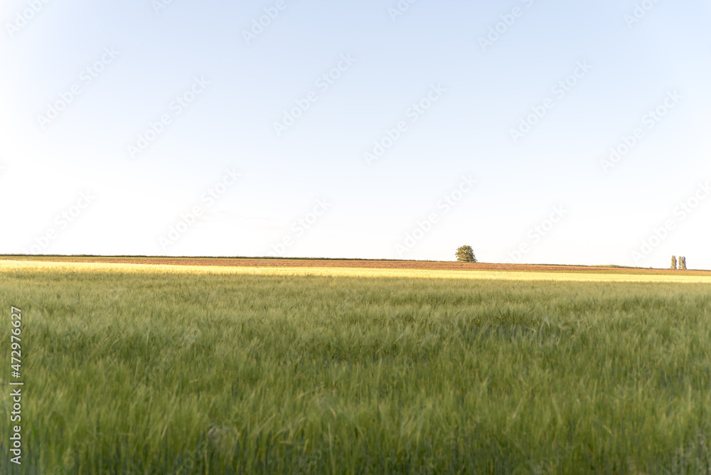 green field open area blue sky