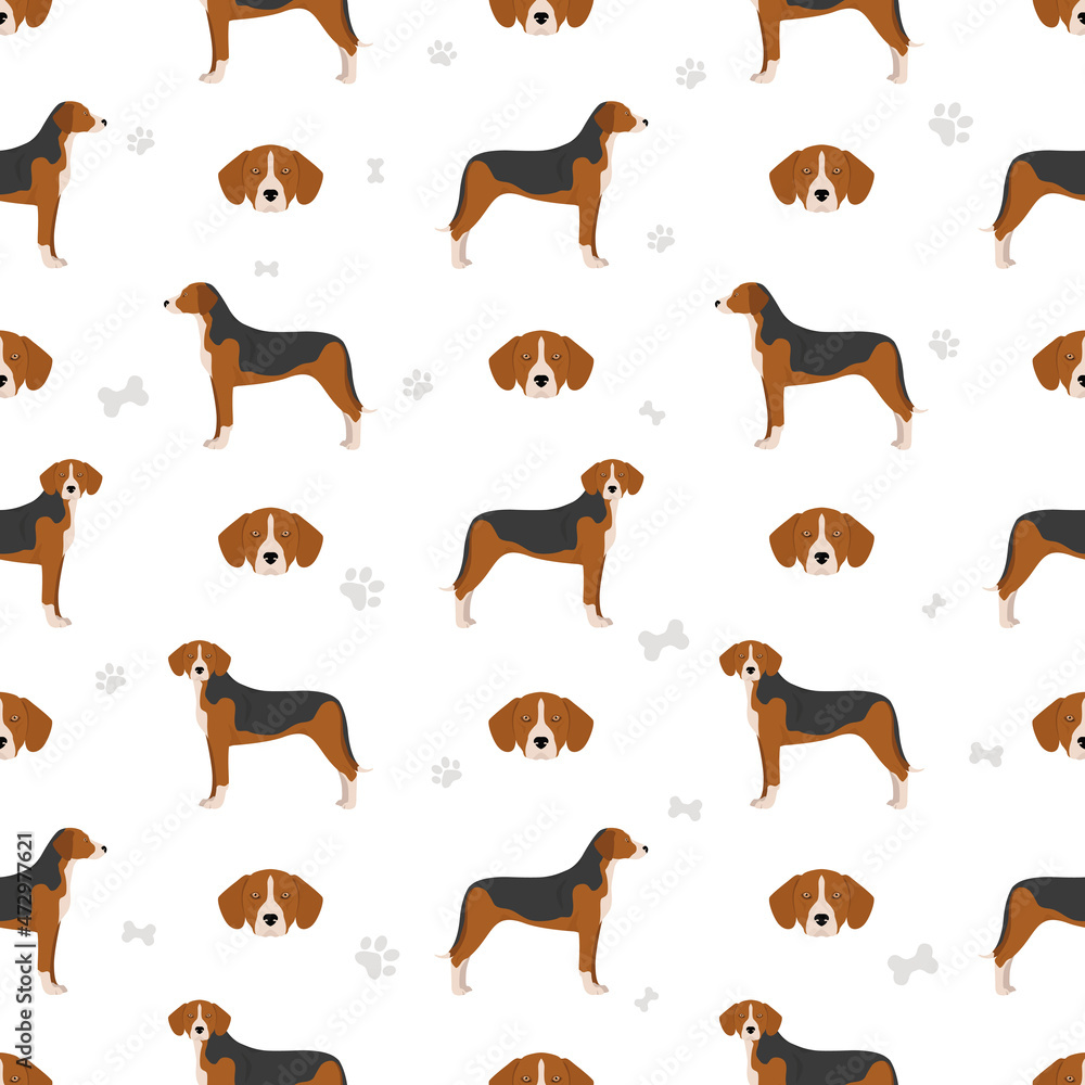 Hamilton hound seamless pattern. Different poses, coat colors set
