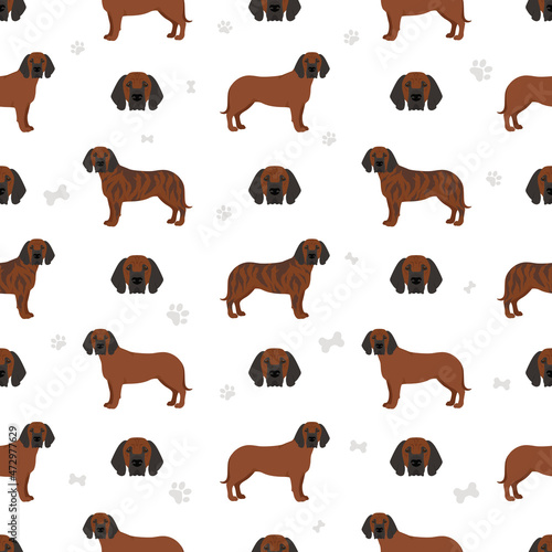 Hanover hound seamless pattern. Different poses, coat colors set