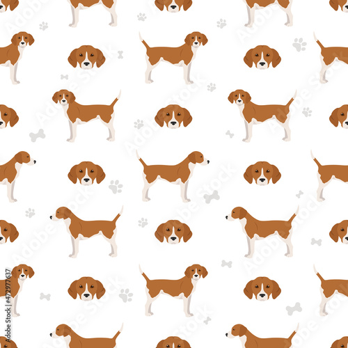 Harrier dog seamless pattern. Different poses, coat colors set