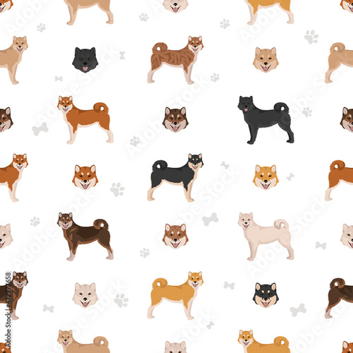 Hokkaido dog, Ainu dog seamless pattern. Different poses, coat colors set